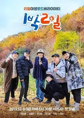 乘风破浪的姐姐 第6季 综艺 2025